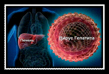 http://vashaginekologiya.ru/wp-content/uploads/2014/03/hepatitis_A1.jpeg